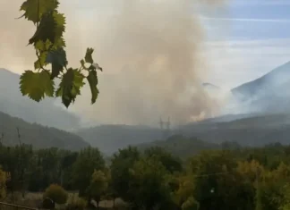 Požar u Lastvi kod Trebinja, vatrogasci na terenu
