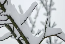 Snijeg do 50 centimetara na pomolu: Meteorolog otkrio kada stiže veliki preokret