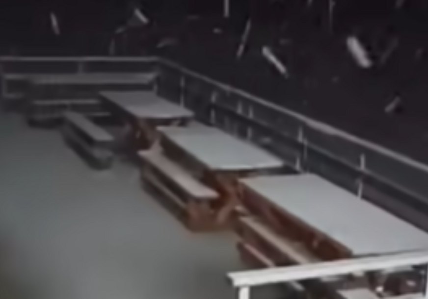 snijeg vlasic